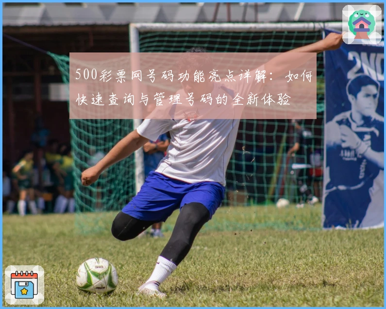 500彩票网号码功能亮点详解：如何快速查询与管理号码的全新体验