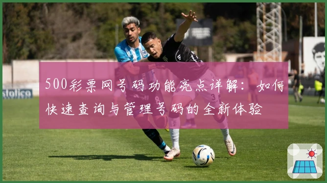 500彩票网号码功能亮点详解：如何快速查询与管理号码的全新体验