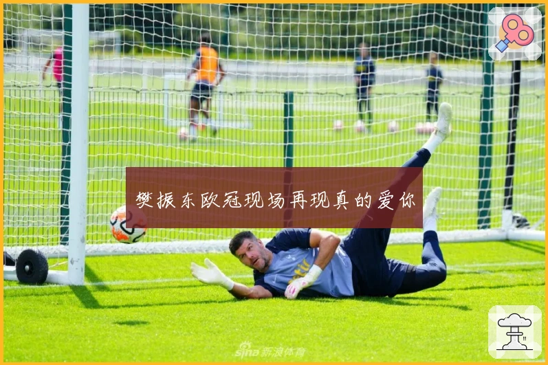 樊振东欧冠现场再现真的爱你