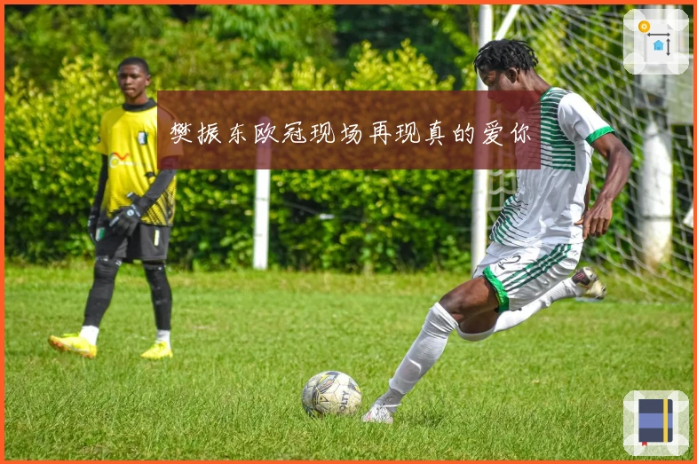 樊振东欧冠现场再现真的爱你